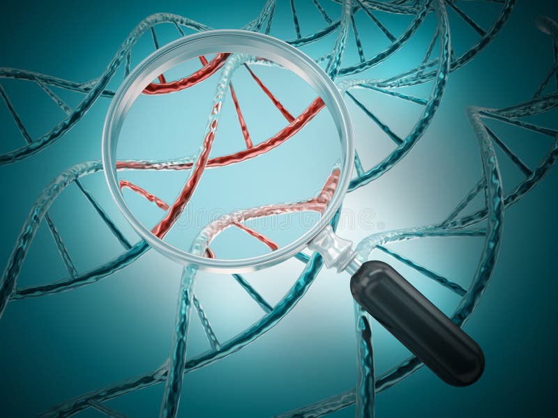 Magnifying glass focussing on a section of a DNA strand