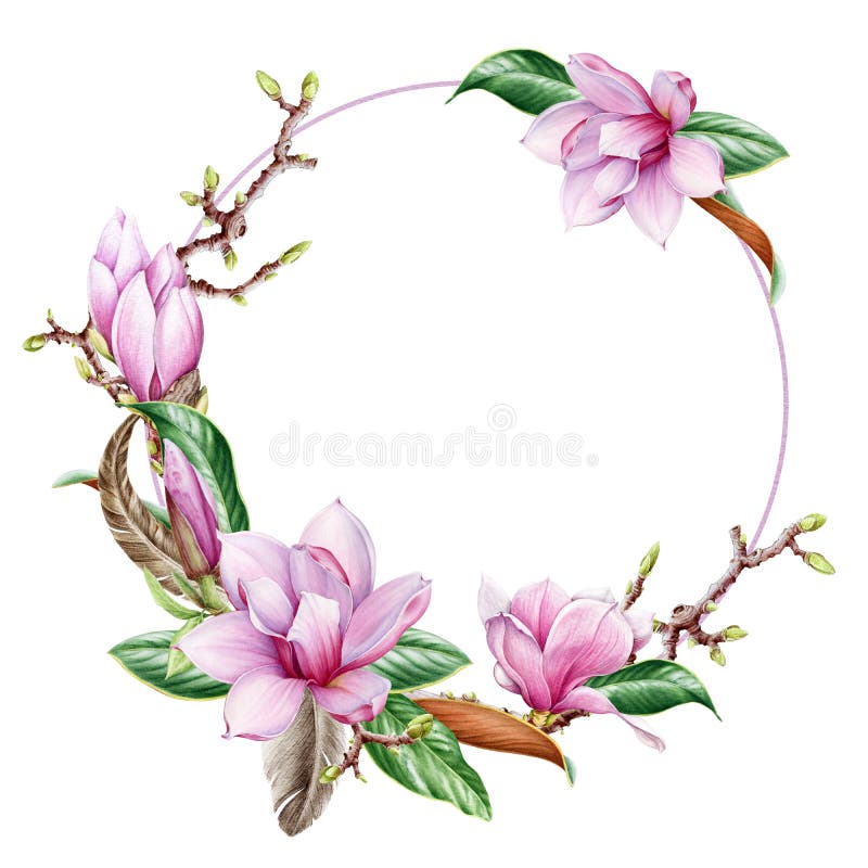 Magnolia flower - ronde frame. roze magnolia - bloemdecoratie. waterkleurillustratie. elegante lantaarns