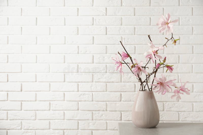 Magnolia Tree Branches with Beautiful Flowers in Vase on Grey Table