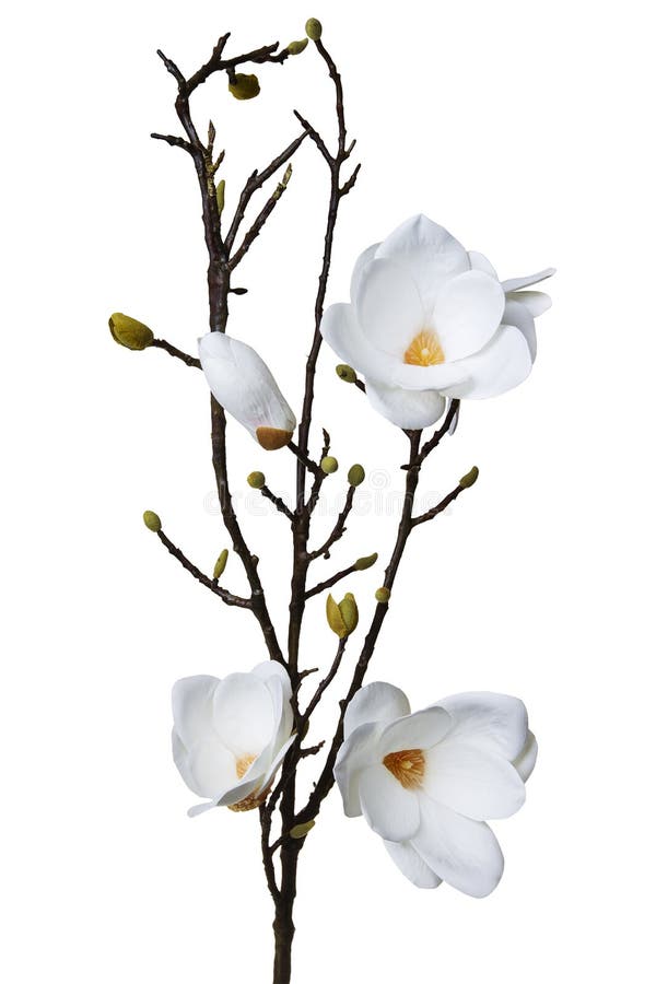Magnolia witte kunstbloem stock fotografie