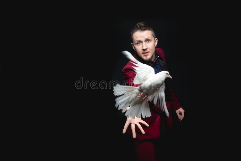 Mago mostra un trucco con un uccello di colomba bianco addestrato fotografie stock libere da diritti