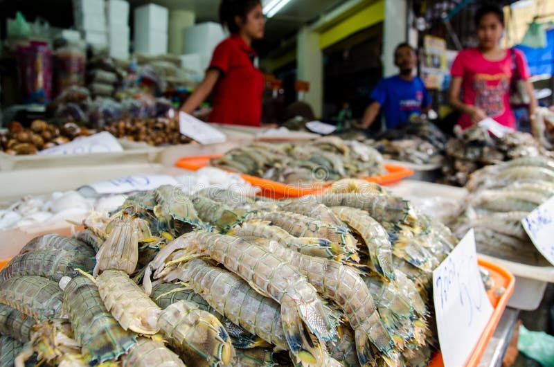 Mahachai, Thailand : Mantis shrimp in the market