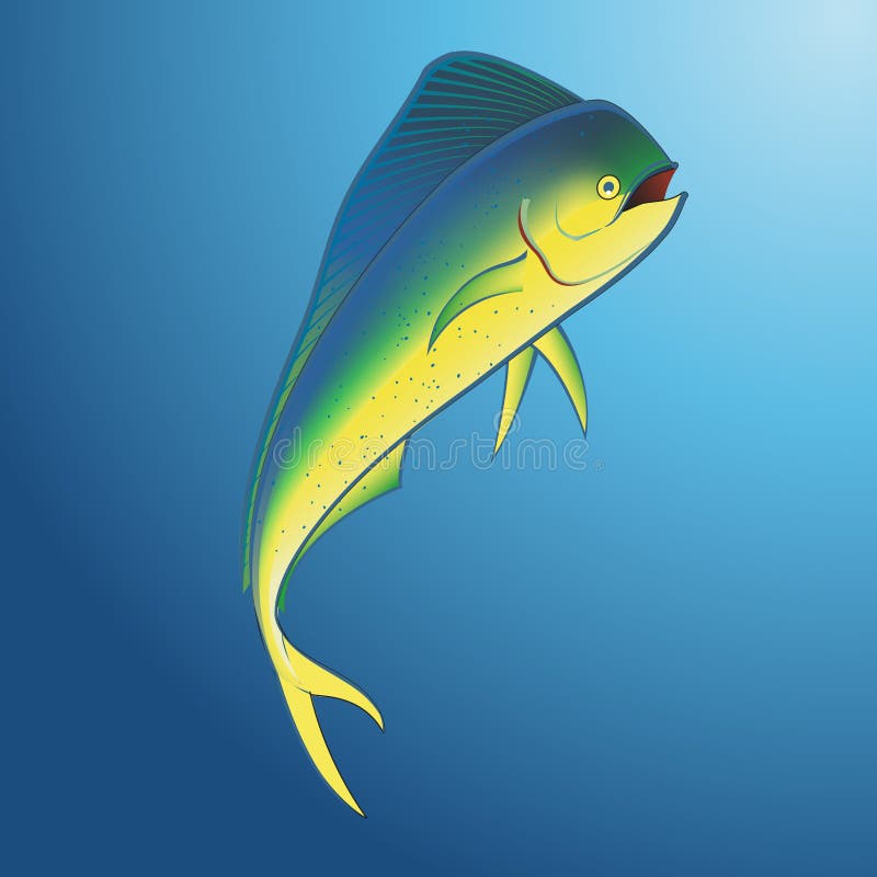 Mahi Mahi sousmarin illustration de vecteur. Illustration du