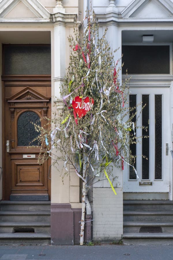 Maibaum in Bonn, Traditionally Decorated Birch Tree As a Symbol of Love