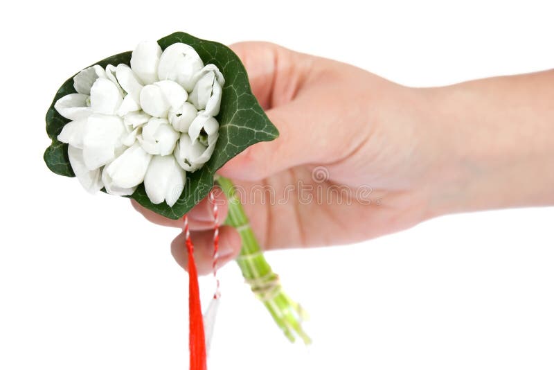 Main retenant un bouquet des baisses de neige photographie stock libre de droits Main retenant un bouquet des baisses de neige photographie stock libre de droits