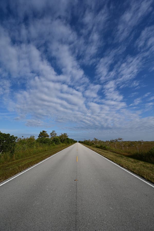 Main Road in Everglades National Park, Florida receding into distance under beautiful winter cloudscape.