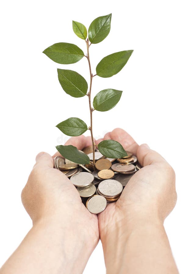 Main tenant l'arbre s'élevant sur des pièces de monnaie image libre de droits Main tenant l'arbre s'élevant sur des pièces de monnaie image libre de droits