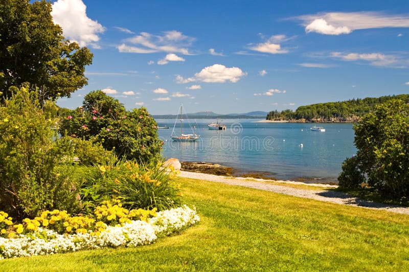 Maine coastline stock photo. Image of trees, vacation 2862284