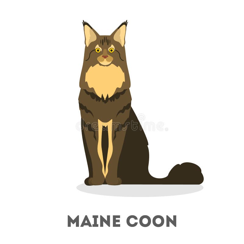 Maine Coon Icons Set, Flat Style Stock Vector - Illustration of brown,  kitty: 143067027