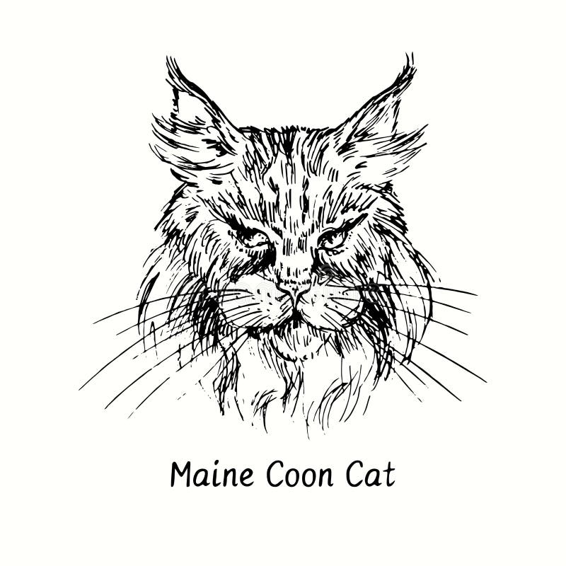 Cat silhouettes,Maine Coon cat icons and silhouettes,Sitting Maine