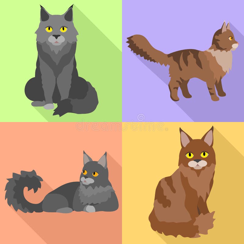 Maine Coon Icons Set, Flat Style Stock Vector - Illustration of brown,  kitty: 143067027