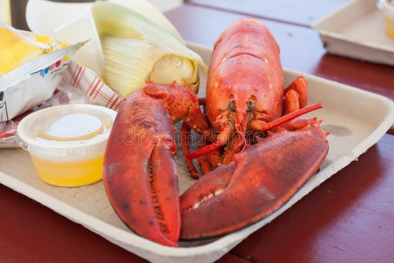 Whole Maine Lobster Dish stock photo. Image of tablecloth 54182