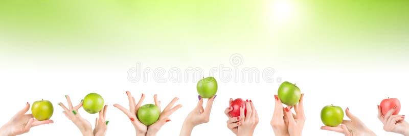 Mains de femme réglées avec des pommes sur le fond vert abstrait image libre de droits Mains de femme réglées avec des pommes sur le fond vert abstrait image libre de droits
