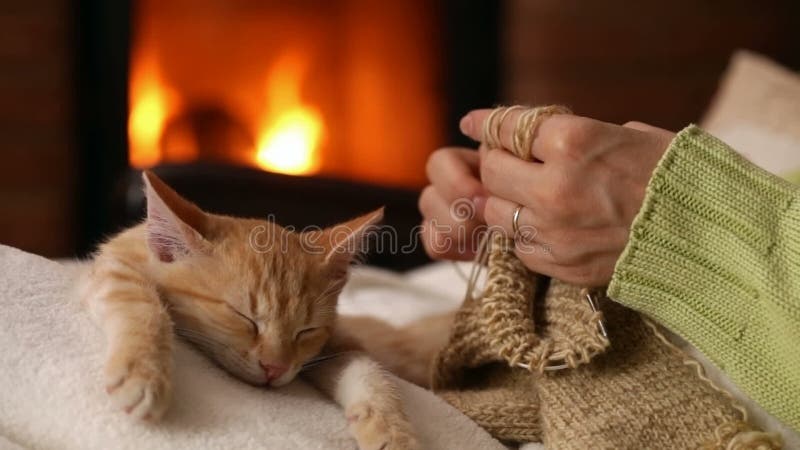 Mains de femme tricotant à la cheminée, son chaton dormant dans son recouvrement clips vidéos