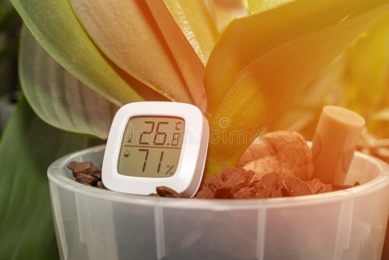 https://thumbs.dreamstime.com/b/maintaining-temperature-humidity-air-necessary-indoor-plants-measurement-houseplants-thermometer-hygrometer-267633036.jpg