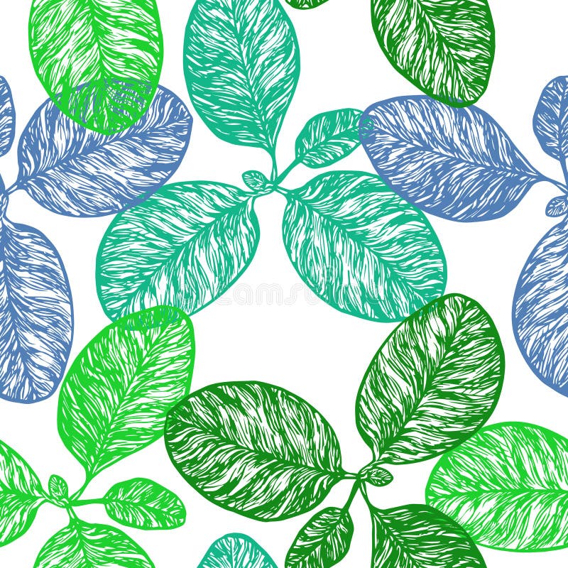 Maior planta do major do Plantago do banana-da-terra ou dos fleaworts ilustração royalty free Maior planta do major do Plantago do banana-da-terra ou dos fleaworts ilustração royalty free
