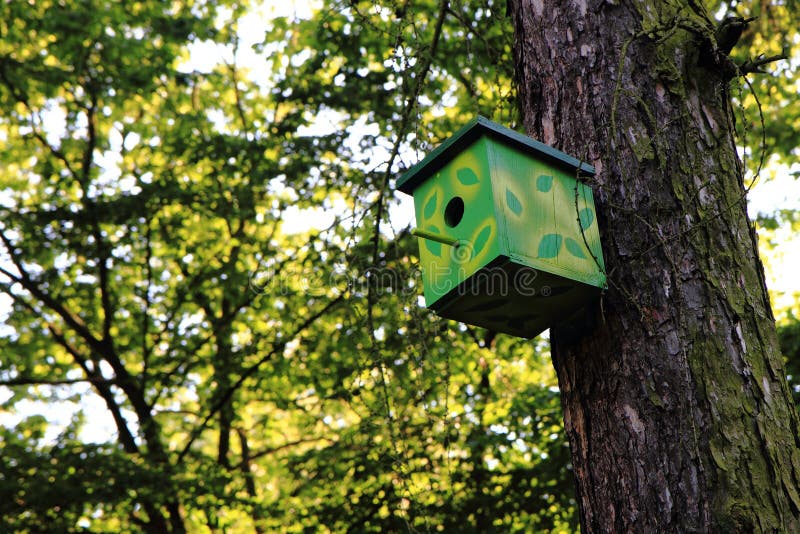 maison d'oiseau sur l'arbre image libre de droits maison d'oiseau sur l'arbre image libre de droits