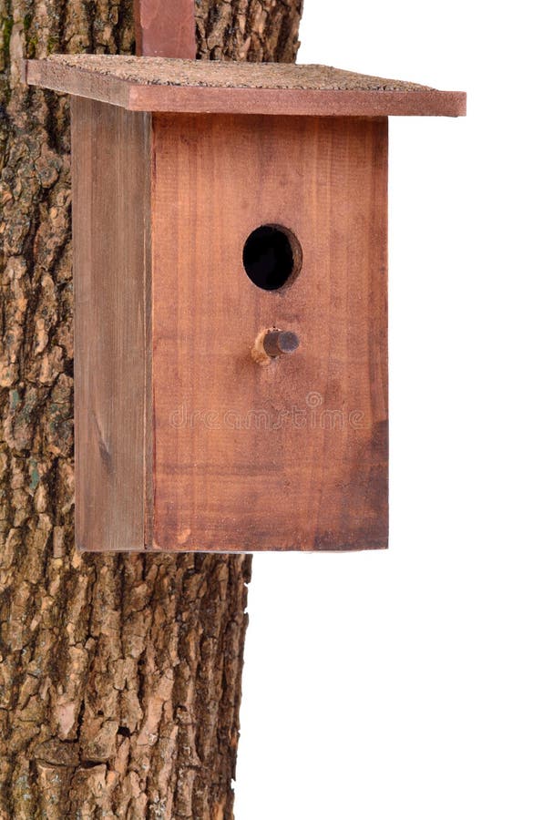 Maison en bois d'oiseau (maison starling) sur le joncteur réseau d'arbre images stock Maison en bois d'oiseau (maison starling) sur le joncteur réseau d'arbre images stock