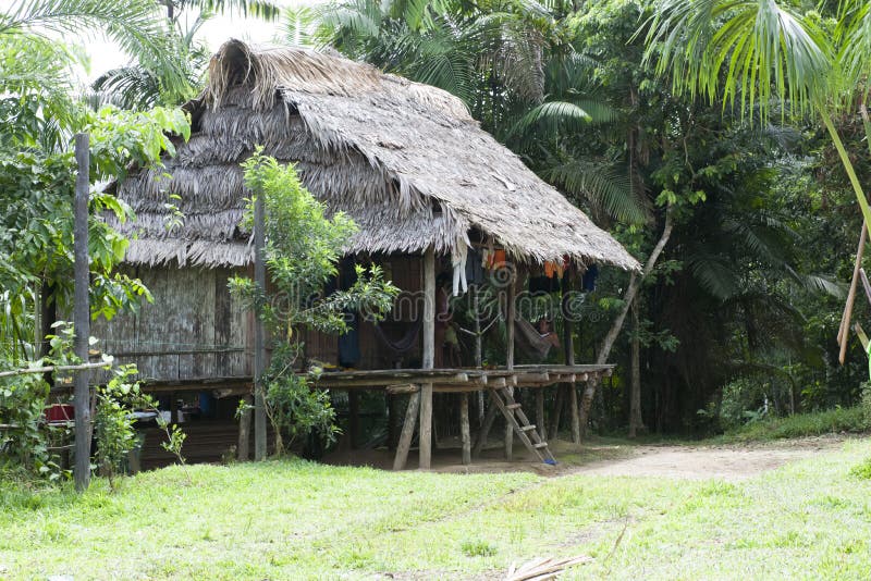 Maison Type D'Amazone (Amazonie) Photo éditorial Image du péruvien