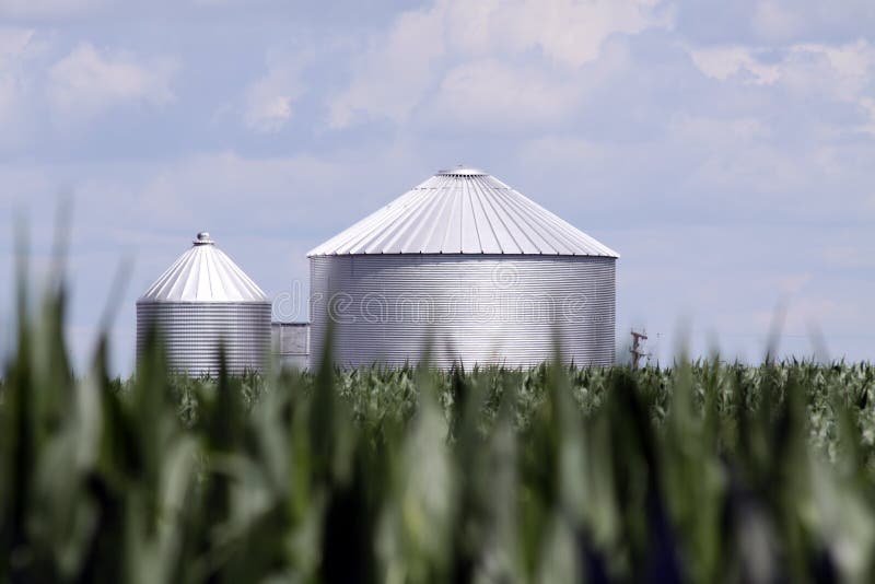 Maissilo stockbild Maissilo stockbild