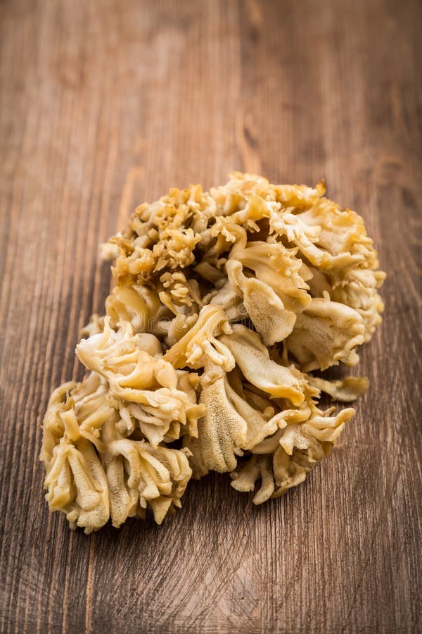 Maitake -贝叶多孔菌 库存图片