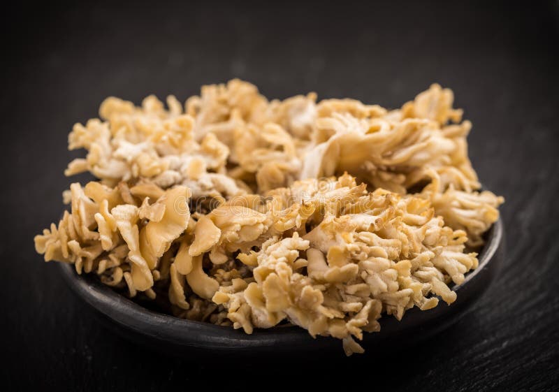 Maitake -贝叶多孔菌 库存照片