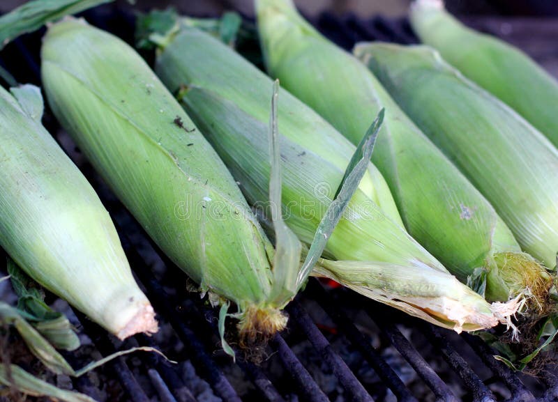 Maize Green Corncobs Grilled Stock Photo Image of sale, corncob 79144152