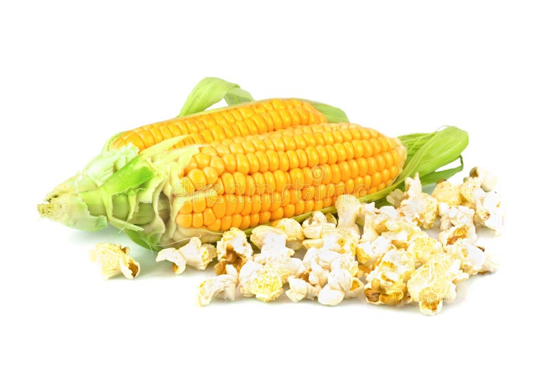 Maize and popcorn stock image. Image of eating, ingredient - 44100653