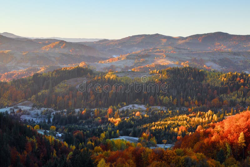 Majestic autumn rural scenery. Landscape with mountains, fields and forests. There are trees on the lawn full of orange leaves. royalty free stock images Majestic autumn rural scenery. Landscape with mountains, fields and forests. There are trees on the lawn full of orange leaves. royalty free stock images