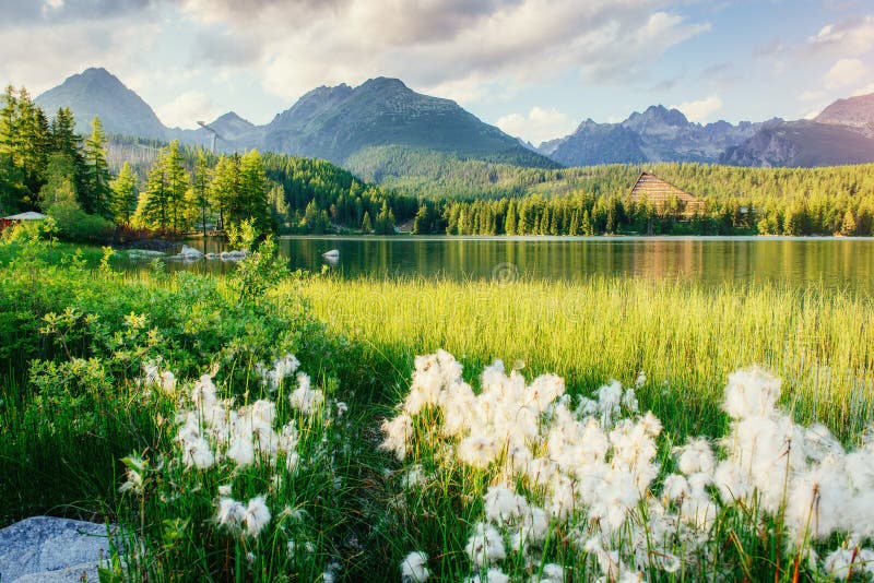 Majestátní horské jezero v národním parku Vysoké Tatry. Štrbské ples