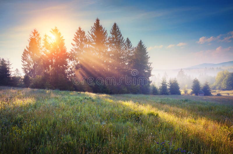 Majestic Summer Landscape Stock Image Image Of Boundless 80381419