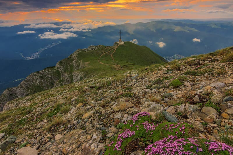 Majestic sunrise and pink flowers in the mountains,Bucegi mountains,Carpathians,Romania