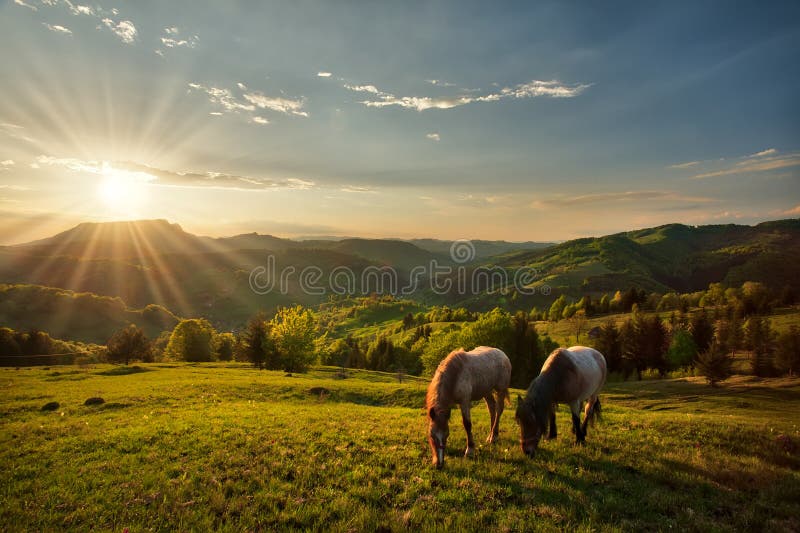 Majestic sunset in the mountains landscape