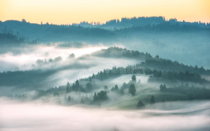 Majestic view of alpine valley covered with fog
