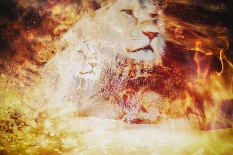 The chronicles of narnia aslan hi-res stock photography and images