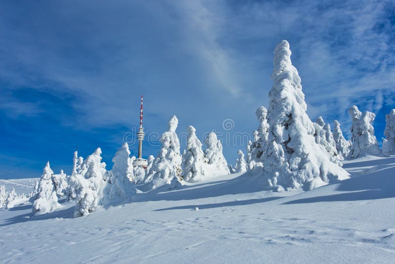Majestic Winter Landscape Glowing by Sunlight, Dramatic Wintry Scene Location stock image Majestic Winter Landscape Glowing by Sunlight, Dramatic Wintry Scene Location stock image