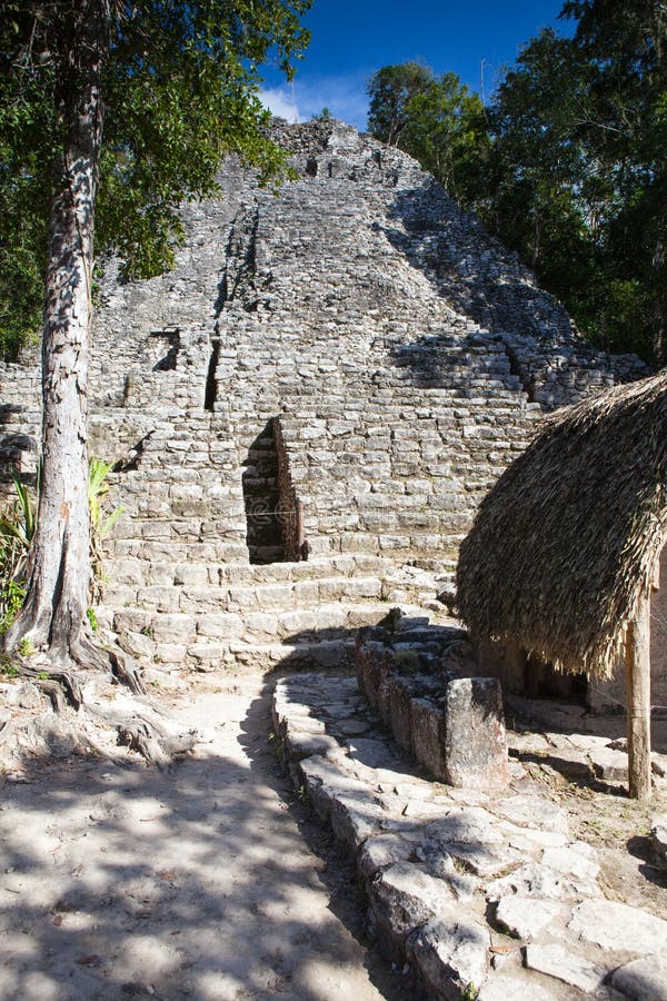 Majestueuze ruïnes in Coba, Mexico stock foto's Majestueuze ruïnes in Coba, Mexico stock foto's