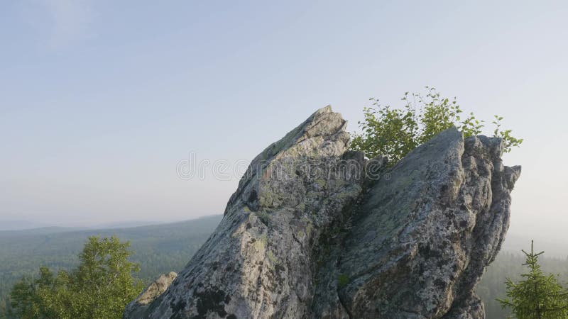 Majestueuze zonsondergang in het bergenlandschap Het eenzame boom hangen van rotsen in de bergen Massieve rotsen en mening aan