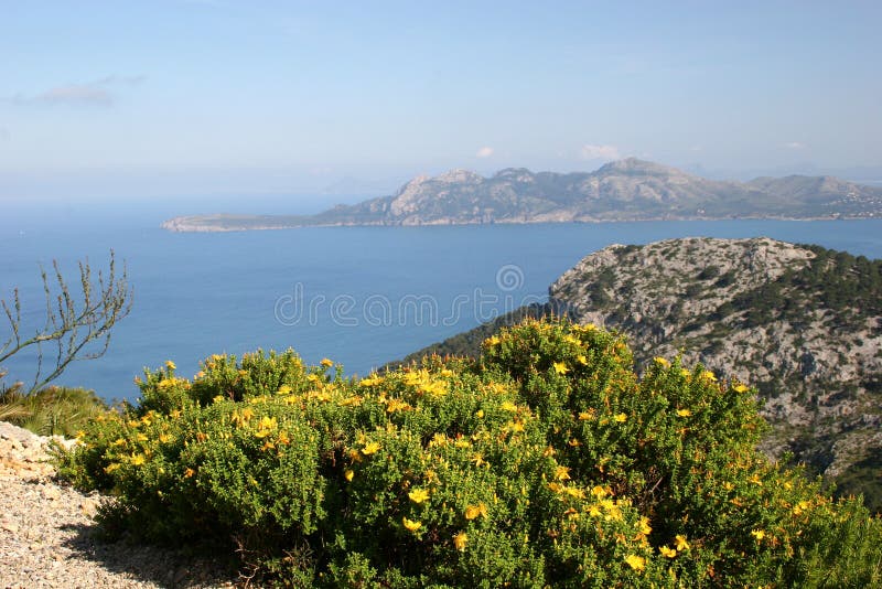 majorca podpalany pollenca obraz stock majorca podpalany pollenca obraz stock