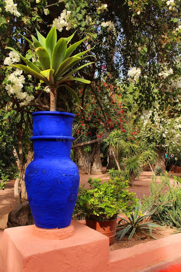 MajorelleGarten Ein Blumentopf In Der Typischen Blauen