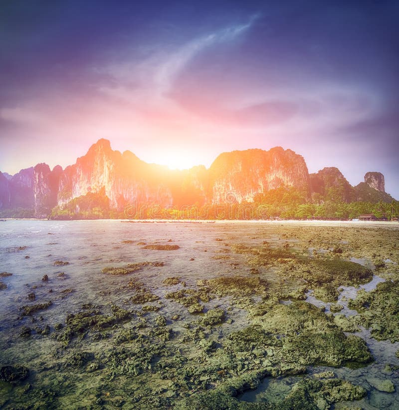 Majowia Phi phi leh podpalana wyspa Tajlandia obraz stock Majowia Phi phi leh podpalana wyspa Tajlandia obraz stock