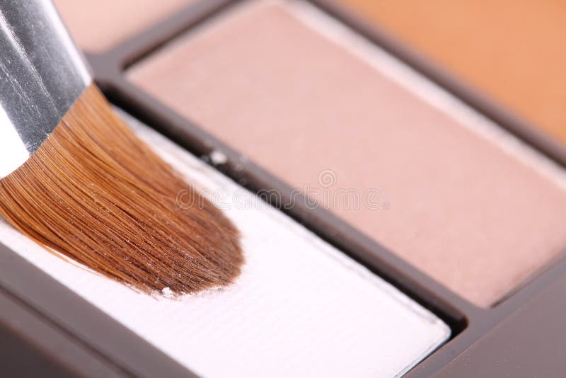 Make up brush in eyeshadows