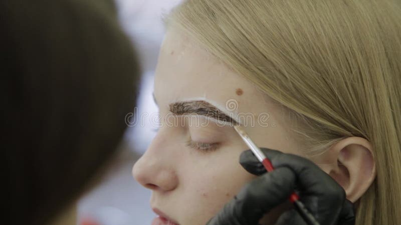 Makeup artysta robi brwi brudzeniu z naturalnymi barwidłami, tonowanie z henną, kosmetyczne procedury w piękno salonie