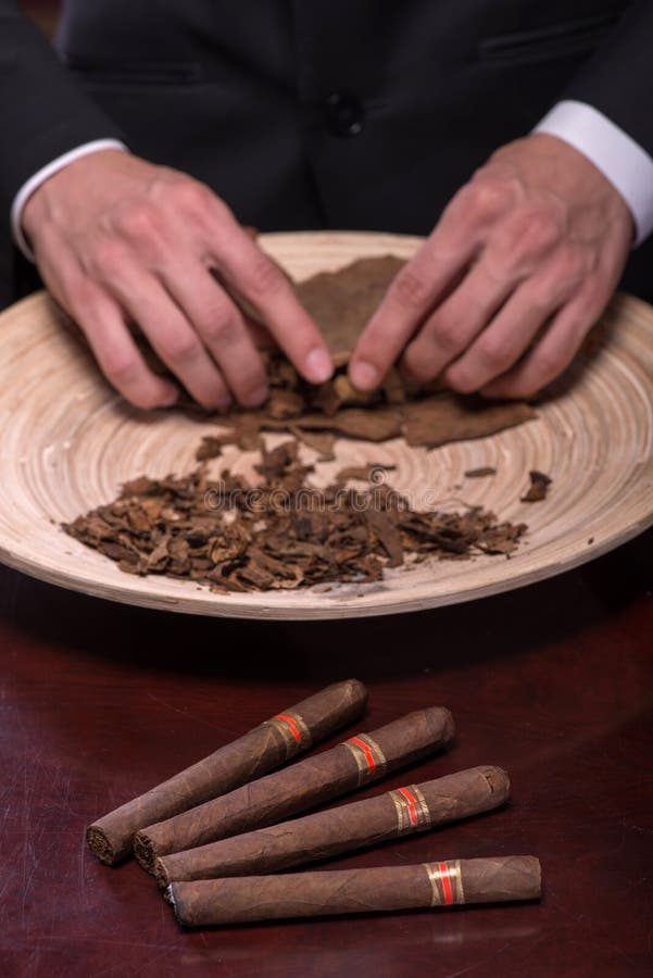 Making Cigars from Dried Up Leaves Stock Image Image of master, cigar