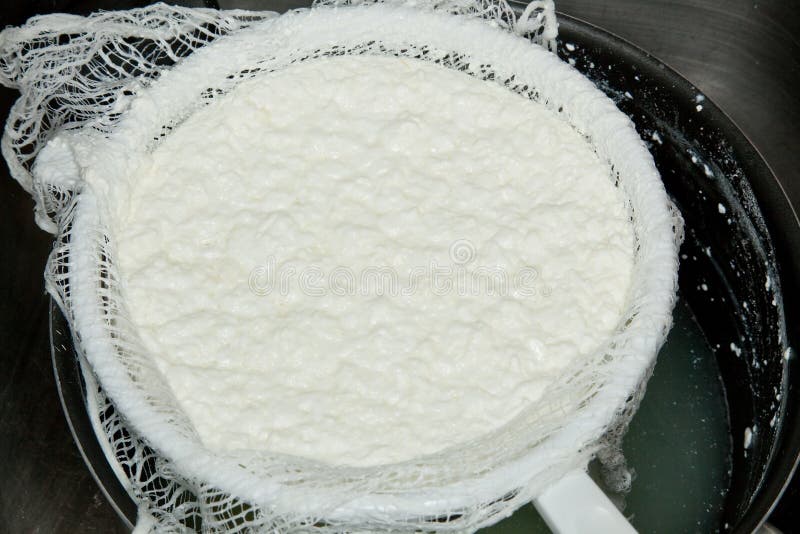 Making cottage cheese stock photo. Image of edible, 13464266