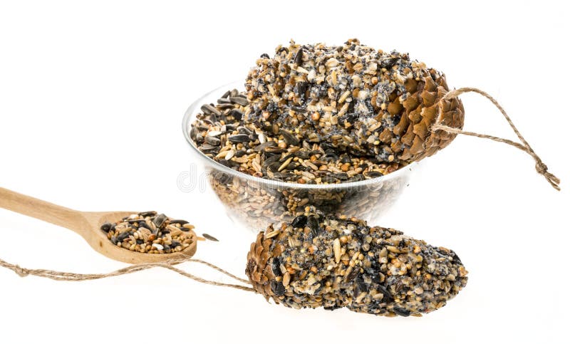 Making feeders for birds from seeds and fat stock photo Making feeders for birds from seeds and fat stock photo