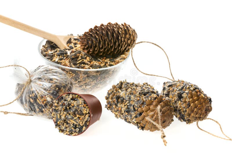 Making feeders for birds from seeds and fat stock images Making feeders for birds from seeds and fat stock images
