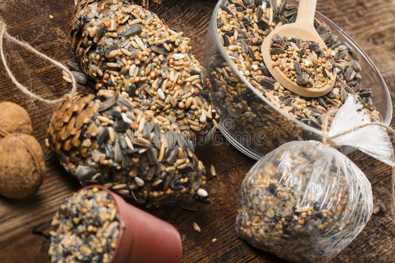 Making feeders for birds from seeds and fat royalty free stock photos Making feeders for birds from seeds and fat royalty free stock photos