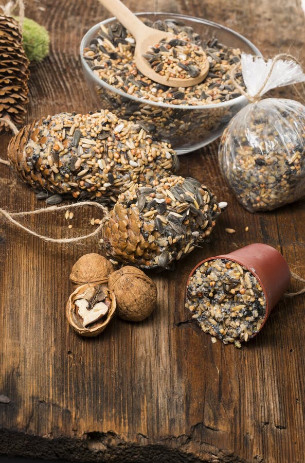 Making feeders for birds from seeds and fat royalty free stock photo Making feeders for birds from seeds and fat royalty free stock photo