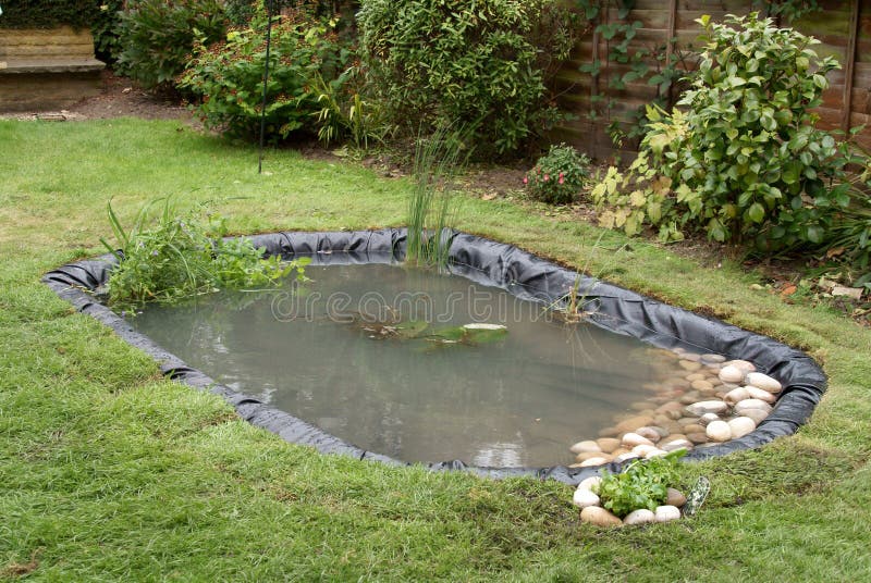 Making a Garden Pond